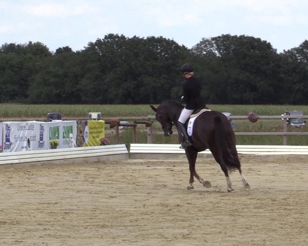 Reitturnier Ostbevern 2020