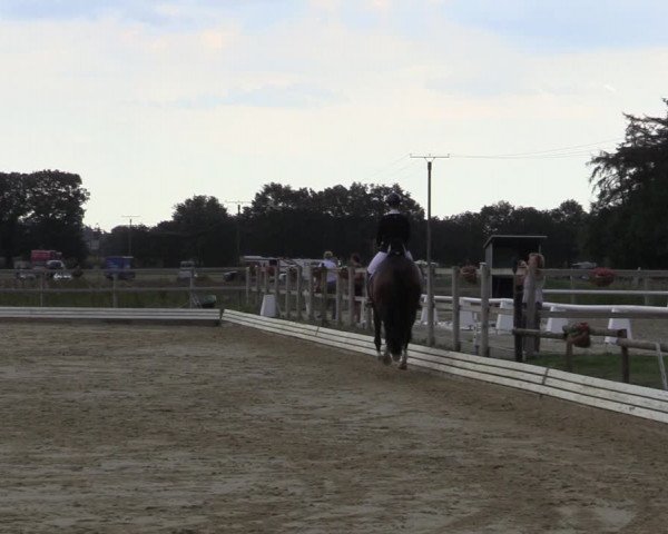 Reitturnier Ostbevern 2020