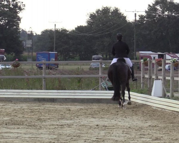 Reitturnier Ostbevern 2020
