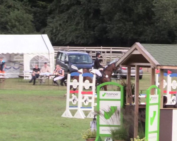 Reitturnier Hanerau-Hademarschen 2020