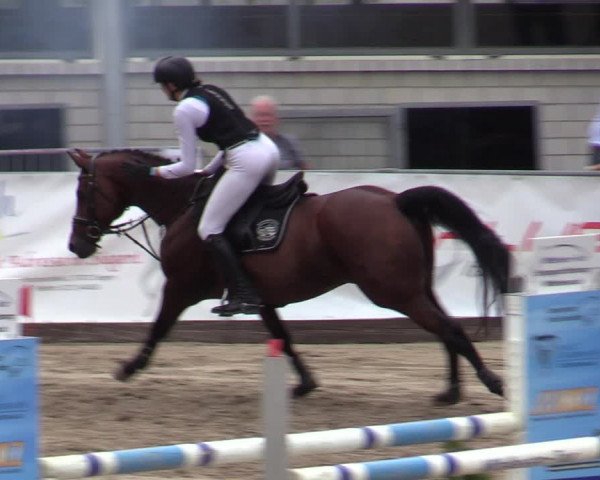 Reitturnier Siegen 2020