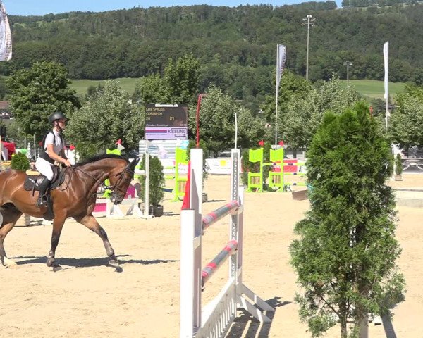 Reitturnier Balsthal 2020