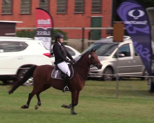 Reitturnier Hanerau-Hademarschen 2020