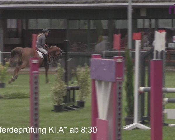 Reitturnier Heiden 2020