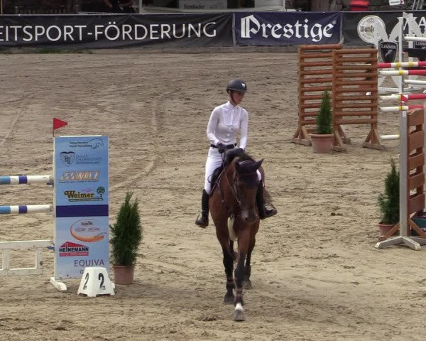 Reitturnier Siegen 2020