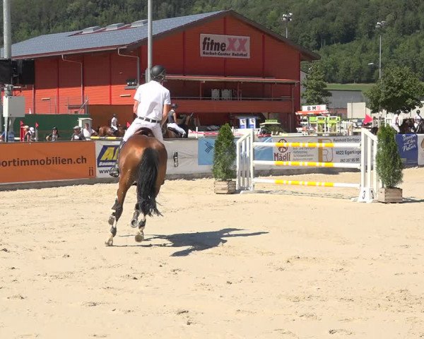 Reitturnier Balsthal 2020