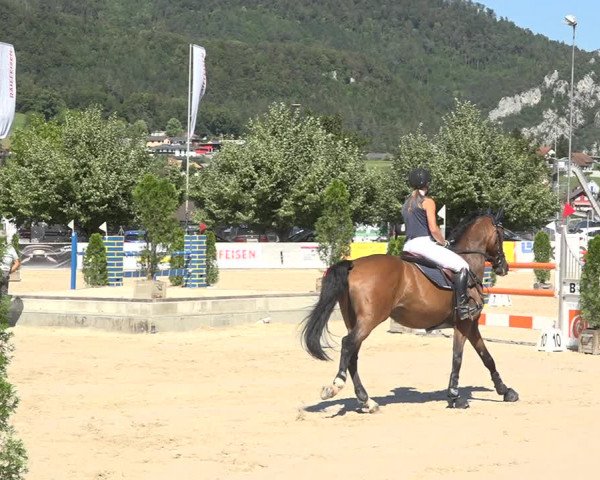 Reitturnier Balsthal 2020