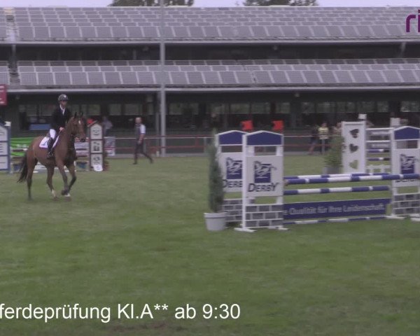 Reitturnier Heiden 2020