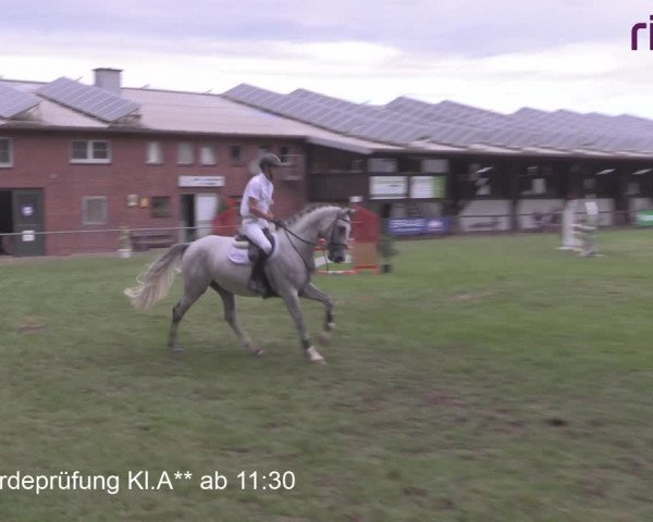 Reitturnier Heiden 2020