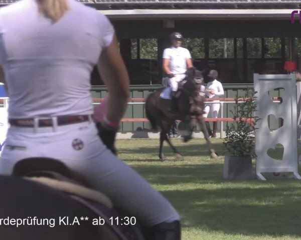 Reitturnier Heiden 2020