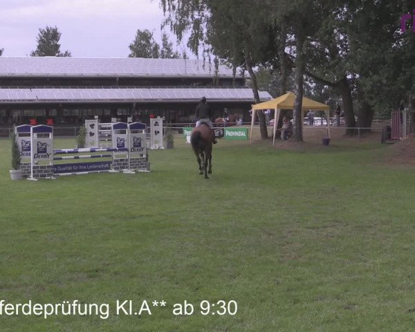 Reitturnier Heiden 2020