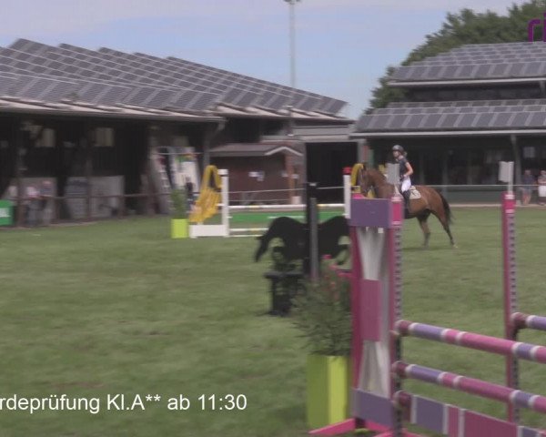 Reitturnier Heiden 2020