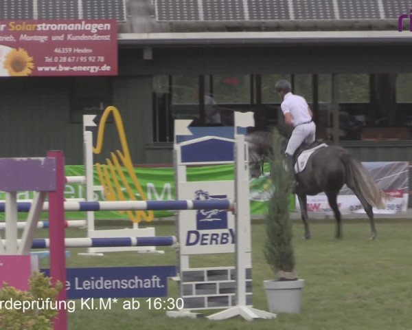 Reitturnier Heiden 2020
