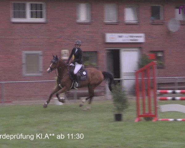 Reitturnier Heiden 2020