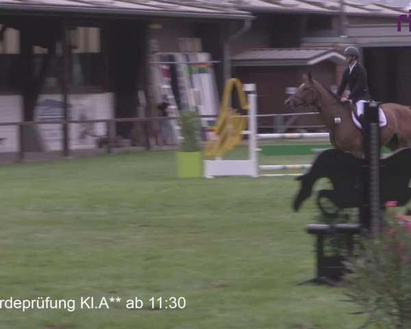 Reitturnier Heiden 2020