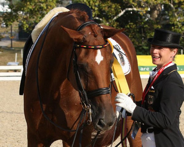 dressage horse Warum Nicht FRH (Hanoverian, 1996, from Weltmeyer)