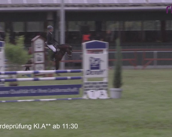 Reitturnier Heiden 2020