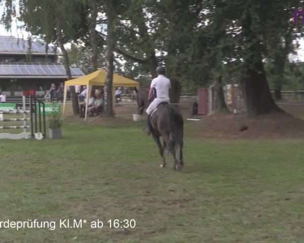 Reitturnier Heiden 2020