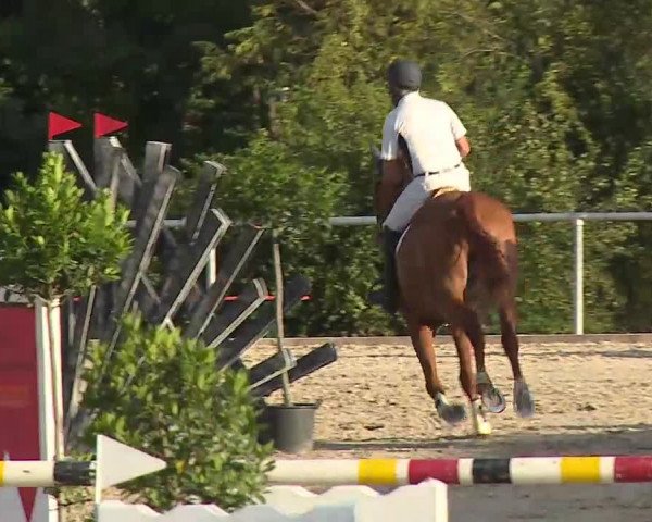 Reitturnier Ansbach/Mfr. 2020