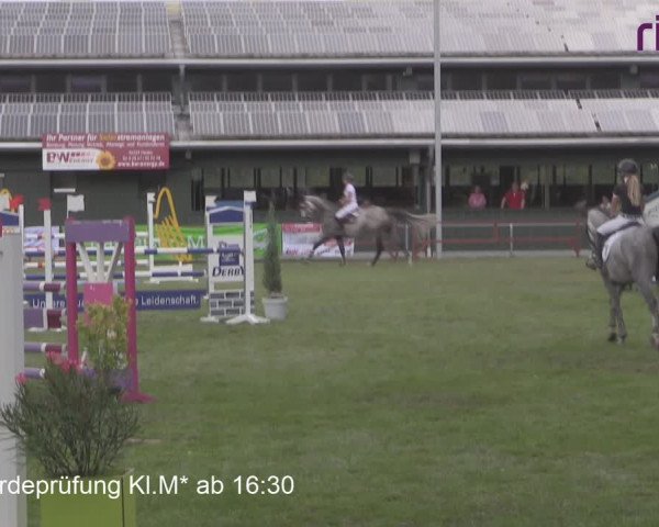Reitturnier Heiden 2020