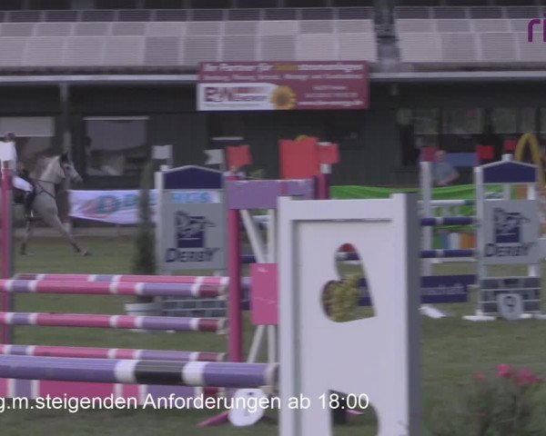Reitturnier Heiden 2020