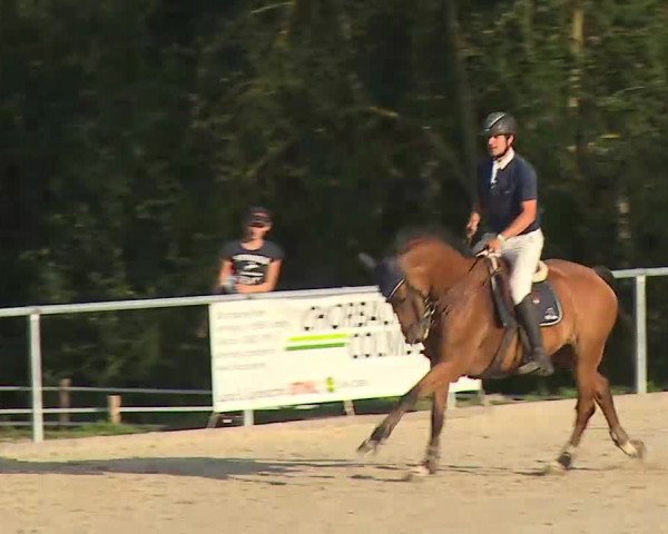 Reitturnier Ansbach/Mfr. 2020