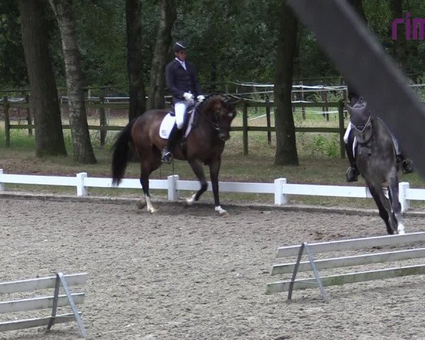 Reitturnier Heiden 2020