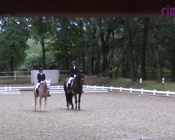Reitturnier Heiden 2020