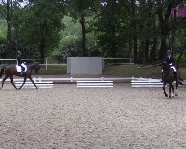 Reitturnier Heiden 2020