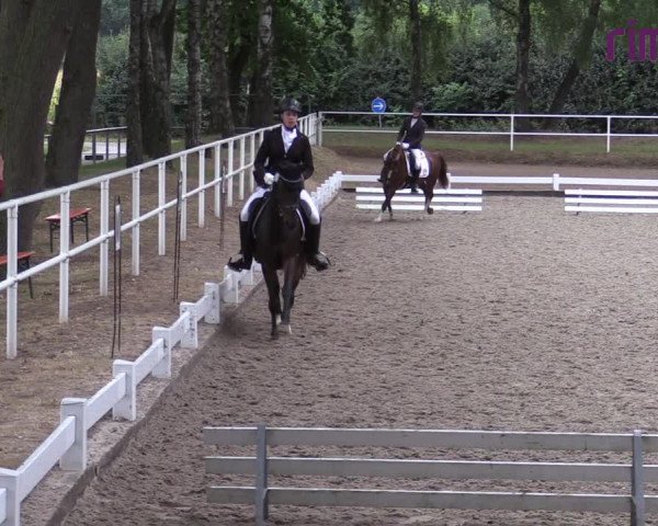 Reitturnier Heiden 2020