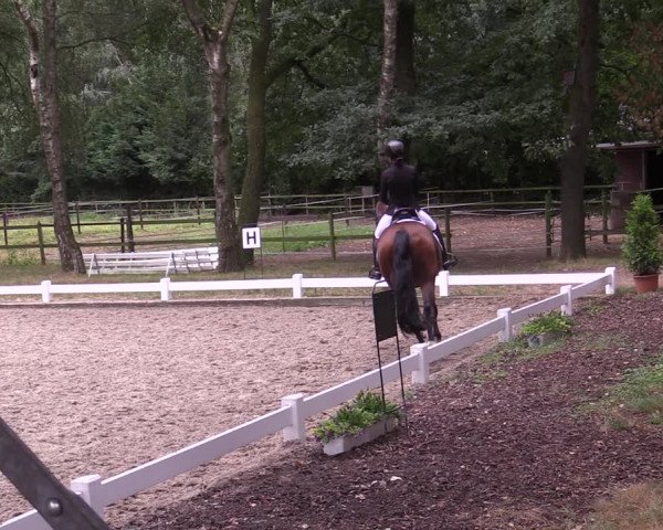 Reitturnier Heiden 2020