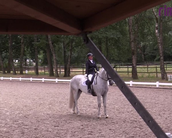 Reitturnier Heiden 2020