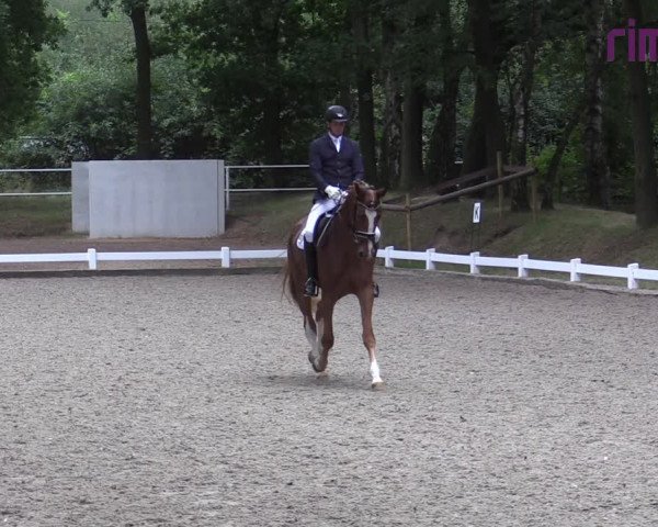 Reitturnier Heiden 2020