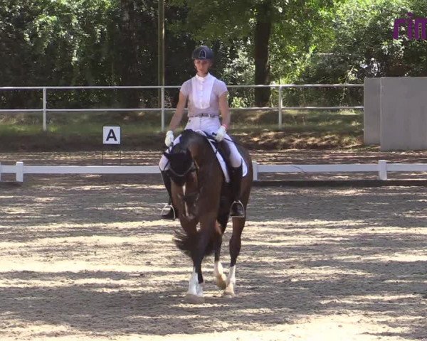 Reitturnier Heiden 2020