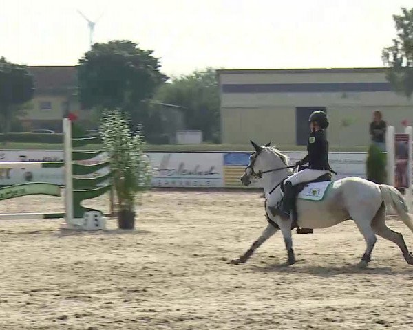 Süddeutsche Ponymeisterschaften Rot am See- Musdorf 2021