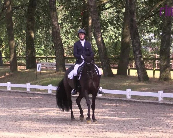 Reitturnier Heiden 2020