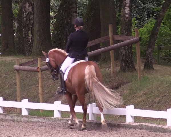 Reitturnier Heiden 2020