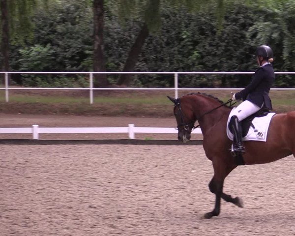 Reitturnier Heiden 2020