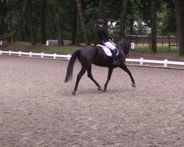 Reitturnier Heiden 2020