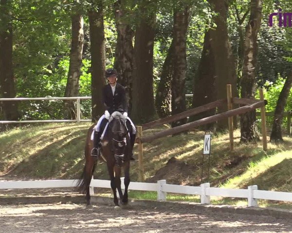 Reitturnier Heiden 2020