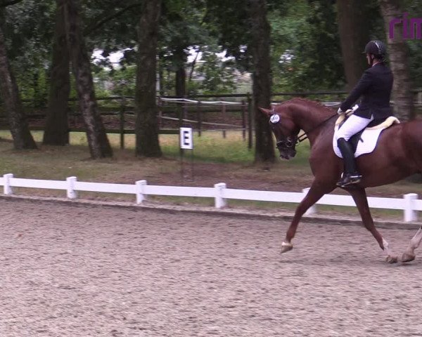 Reitturnier Heiden 2020