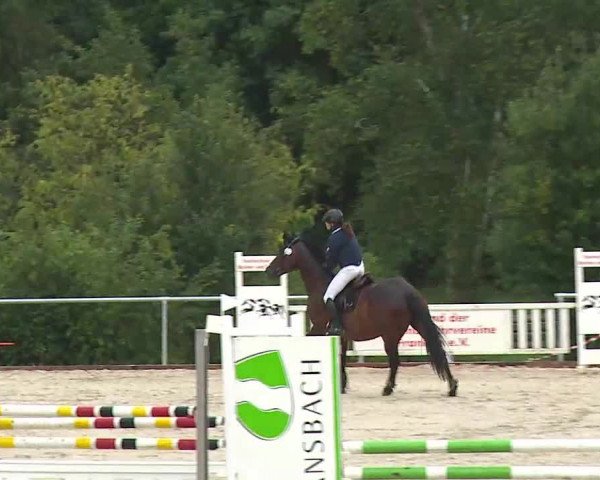 Reitturnier Ansbach/Mfr. 2020