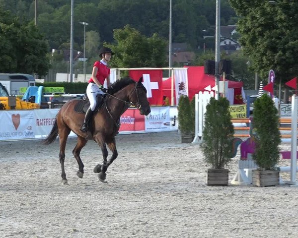 Reitturnier Balsthal 2020