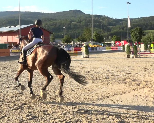 Reitturnier Balsthal 2020