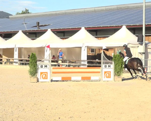 Reitturnier Balsthal 2020