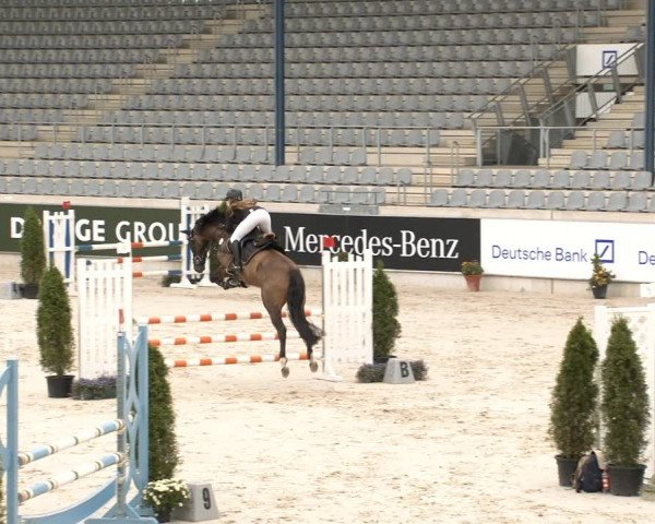 Reitturnier Aachen 2020