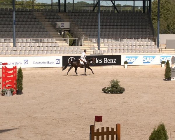 Reitturnier Aachen 2020