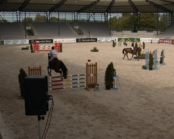 Reitturnier Aachen 2020