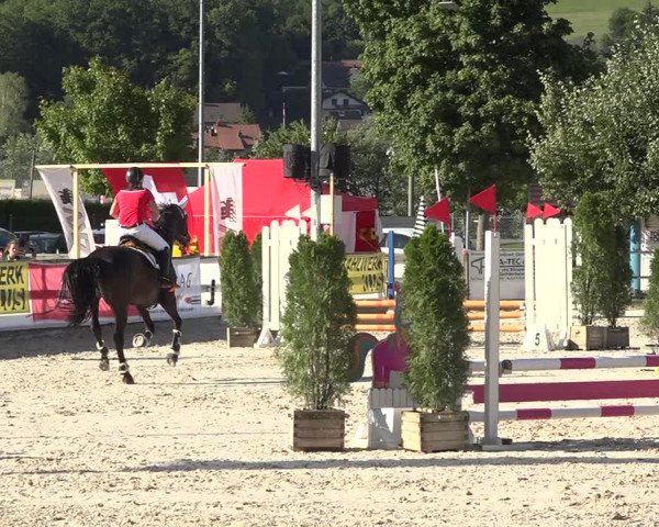 Reitturnier Balsthal 2020