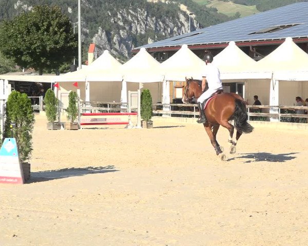 Reitturnier Balsthal 2020